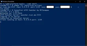 2.webp