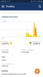 Screenshot_20200221-180814_OpenVPN Connect.webp