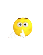 1582314081379.webp
