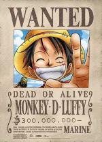 One_Piece_70__60484.1557954054.webp