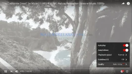 Untitled.webp
