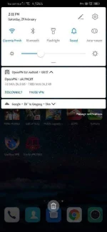 Screenshot_20200229_141134_com.huawei.android.launcher.webp