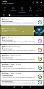Screenshot_20200229-173502.webp