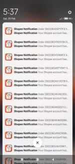 Screenshot_2020-02-29-17-37-36-423_com.miui.home.webp