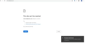 Capture.webp