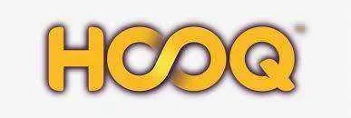 hoog logo.webp
