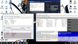 FEED.webp