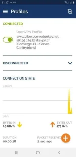 Screenshot_20200304-111740_OpenVPN Connect.webp