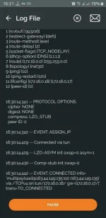 Screenshot_20200304-163106_OpenVPN Connect.webp