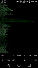 Screenshot_2020-03-04-21-56-31.webp