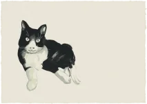 alexcat.webp