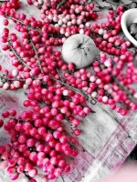 bulaney.webp
