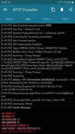 Screenshot_20200308-154359_HTTP Injector.webp