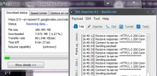dg.webp
