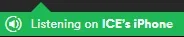 ICE's.webp