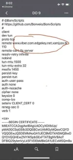 36C2824E-A1D2-4629-A2D5-AE16113E0FDC.webp