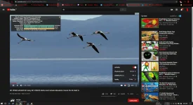 4k 3-13.png