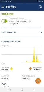 Screenshot_20200314-114803_OpenVPN Connect.webp