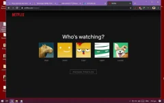 Nétflí× - Google Chrome.webp