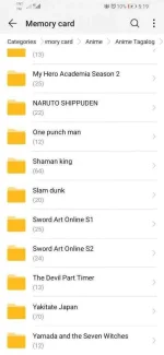 Screenshot_20200319_171945_com.huawei.hidisk.webp