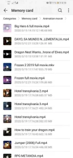 Screenshot_20200319_171828_com.huawei.hidisk.webp