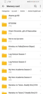Screenshot_20200319_171913_com.huawei.hidisk.webp