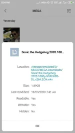 Screenshot_2020-03-20-17-24-02-508_com.mi.android.globalFileexplorer.webp