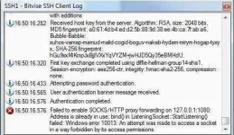 svlerror.webp