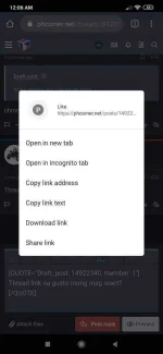 Screenshot_2020-03-23-00-06-54-584_com.android.chrome.webp