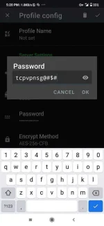 Screenshot_2020-03-23-17-20-17-754_com.github.shadowsocks.webp