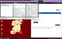 ss.webp