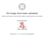 1585395990300.png