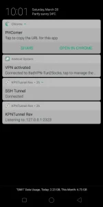 Screenshot_2020-03-28-22-01-48-10.webp