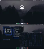 1585510731679.webp