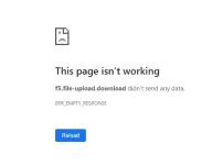 1585660782000.webp 1585660782000.webp