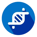 15.png 15.png