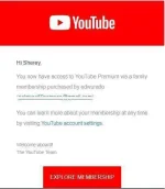 YT PREMIUN.webp