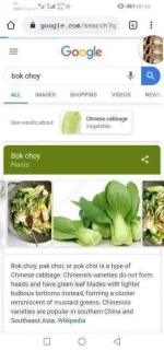 Screenshot_20200408_101606_com.android.chrome.webp