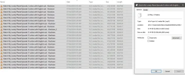 5.webp
