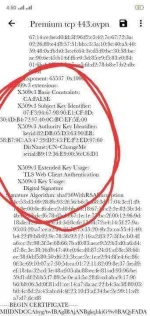 IMG_20200408_165314.webp