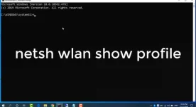 Screenshot_20200409-132620__01.webp