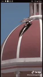 Screenshot_20200410-013126.webp