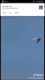 Screenshot_20200410-013153.webp