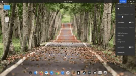 Screenshot from 2020-04-11 08-55-58.webp