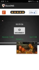 Screenshot_20200413-205811_SlowDNS.webp