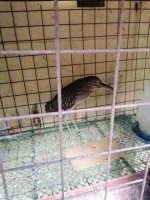 IMG_20200417_111527.webp