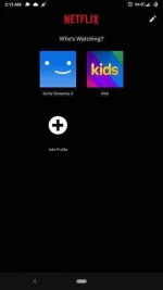 Screenshot_20200419-021323.webp