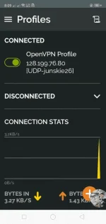 UDP config.webp