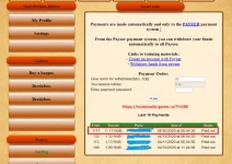 mcdo webpay.webp