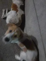 20200420_200606.webp